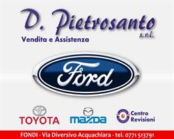 DARIO PIETROSANTO S.R.L.