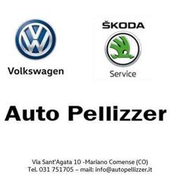 AUTO PELLIZZER S.A.S.