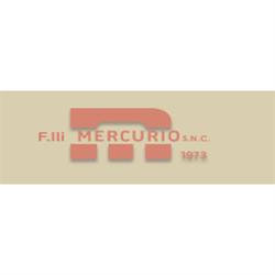 Vetri e Cornici F.lli Mercurio