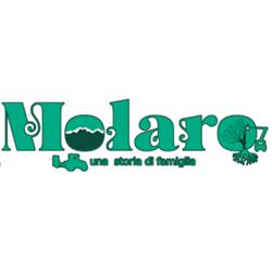 Molaro S.A.S