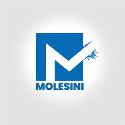 Molesini Sas