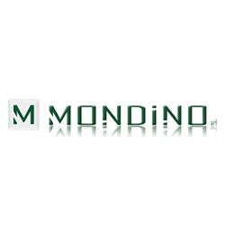 Mondino