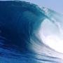 MARE