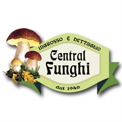 Central Funghi