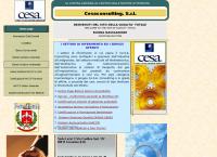 Ce.s.a. Consulting S.r.l.