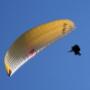 Parapendio in volo
