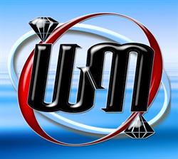 IGM SRL UNIPERSONALE