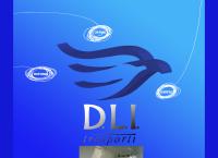 D.l.i. SRL Trasporti