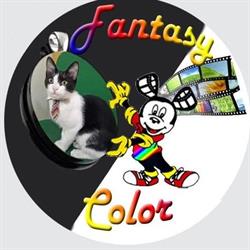 Fantasy Color "il Digitale a Portici"