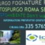Caricato da visitatore il 05/01/2018