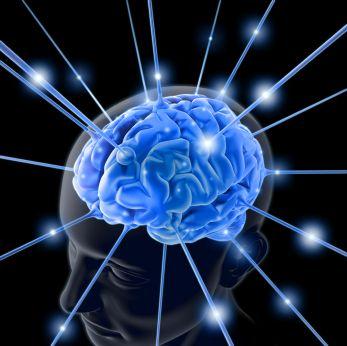 La-coscienza