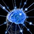 La coscienza… e se fosse tutto un’illusione!