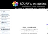 Sito di Feral Pubblicita
