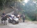 Escursioni-in-montagna
