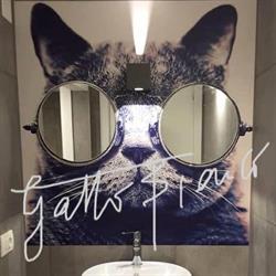 Gatto Bianco
