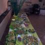 Una tipologia di Buffet