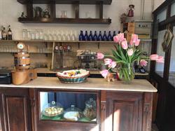 Ristorante Vino Tinto