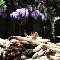 Albergo Ristorante Madonnina