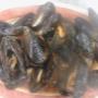 Cozze
