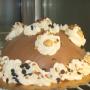 Torte di Pasticceria Celona