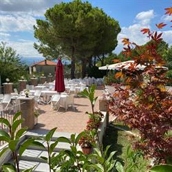Ristorante Pizzeria Il Pino