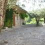 Agriturismo Olimpo