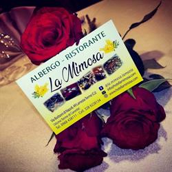 Albergo Ristorante la Mimosa