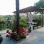 Ristorante Tipico Cornè alle Palme