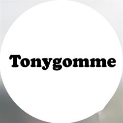 Tonygomme - Driver Center Pirelli P Zero World