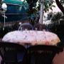 Ristorante Pizzeria
