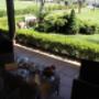 Agriturismo Il Castagneto