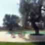 Panoramica piscina