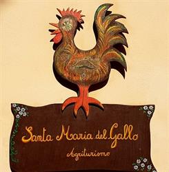 Agriturismo S. Maria Del Gallo