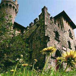Castello Manservisi