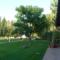Una vista del parco dal salone