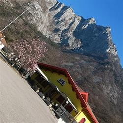 Ristorante Pizzeria La Buona Tavola