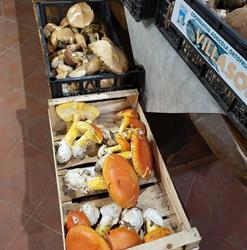 Agriturismo Pian Di Fiume Societa' Agricola A.r.l.