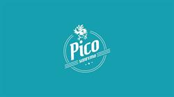 Bar Ristorante Pico De Gallo