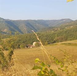 Trattoria del Cervo Agriturismo L'Antico Frutto