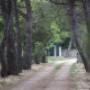 Il nostro viale