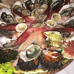 Il Faro - Ristorante Di Mare