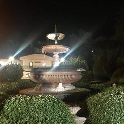 Ragno D'oro Di Bonci e Iacopini S.a.s. Ristorante e Pizzeria