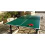 Ping-Pong