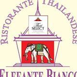 Ristorante Elefante Bianco