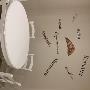 Gallery Professionale