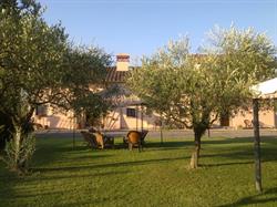 Agriturismo Il Campo Delle Fragole