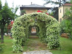 Villa Noli