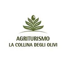 Agriturismo La Collina degli Olivi