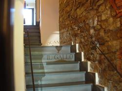 Ristorante Locanda Il Gallo