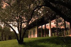 Agriturismo Terra Del Vento Di Scatassa Giuseppe
